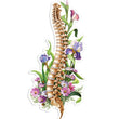 Load image into Gallery viewer, Spine sticker