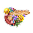 Load image into Gallery viewer, Pancreas sticker