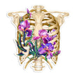 Load image into Gallery viewer, Rib cage sticker