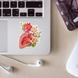 Load image into Gallery viewer, Heart anatomy sticker