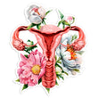 Load image into Gallery viewer, Anatomical uterus sticker
