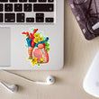Load image into Gallery viewer, Heart anatomy sticker
