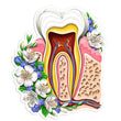 Load image into Gallery viewer, Tooth sticker