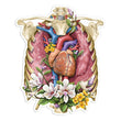 Load image into Gallery viewer, Anatomy sticker