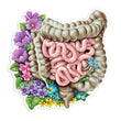 Load image into Gallery viewer, Intestines anatomy
