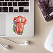 Laden Sie das Bild in den Galerie-Viewer, Male torso muscles anatomy