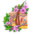 Load image into Gallery viewer, Skin sticker