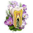 Load image into Gallery viewer, Tooth sticker