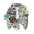 Load image into Gallery viewer, Rib cage sticker