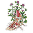 Laden Sie das Bild in den Galerie-Viewer, Foot anatomy sticker