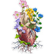Load image into Gallery viewer, Anatomical heart sticker
