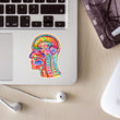 Load image into Gallery viewer, Brain anatomy sticker