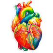 Load image into Gallery viewer, Heart anatomy sticker