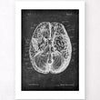 Laden Sie das Bild in den Galerie-Viewer, Brain anatomy art