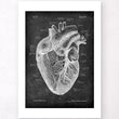 Laden Sie das Bild in den Galerie-Viewer, Herz Anatomie I - Chalkboard