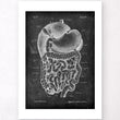Load image into Gallery viewer, Digestive system anatomy art - Chalkboard
