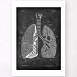 Load image into Gallery viewer, Lungs anatomy - Chalkboard