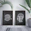 Load image into Gallery viewer, Eye anatomy - Chalkboard