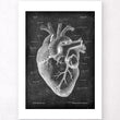 Laden Sie das Bild in den Galerie-Viewer, Herz Anatomie II - Chalkboard