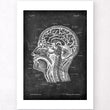 Load image into Gallery viewer, Head section anatomy - Chalkboard
