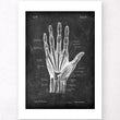 Laden Sie das Bild in den Galerie-Viewer, Hand anatomy poster