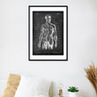 Load image into Gallery viewer, Back muscles anatomy print