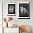 Load image into Gallery viewer, ENT office decor