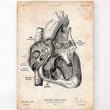 Laden Sie das Bild in den Galerie-Viewer, Heart section art print I