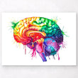 Laden Sie das Bild in den Galerie-Viewer, Brain anatomy poster