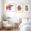 Laden Sie das Bild in den Galerie-Viewer, Anatomy poster
