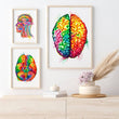 Laden Sie das Bild in den Galerie-Viewer, Brain anatomy poster
