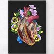 Laden Sie das Bild in den Galerie-Viewer, Heart dissection anatomy
