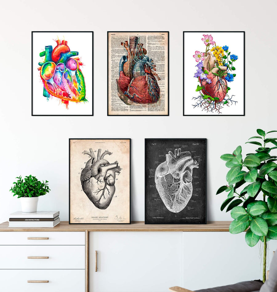 Heart anatomy posters in a variety of styles by codex anatomicus
