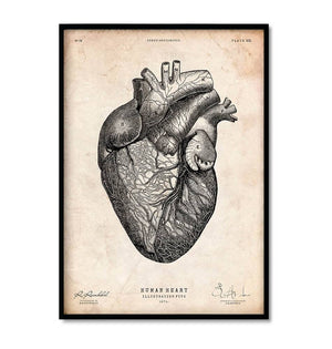 Vintage Herz Anatomie - 5er Set
