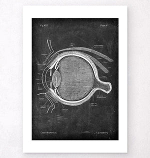 Eye anatomy - Chalkboard