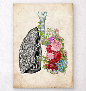 Anatomische Lunge mit Blumen - Altes Papier