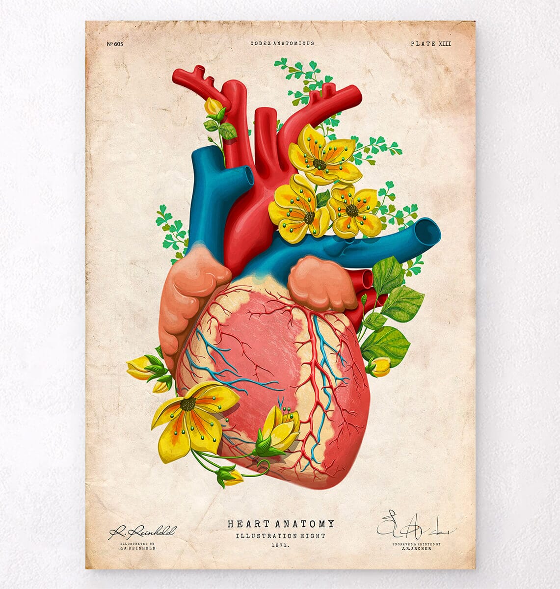 Floral heart anatomy art print - Codex Anatomicus