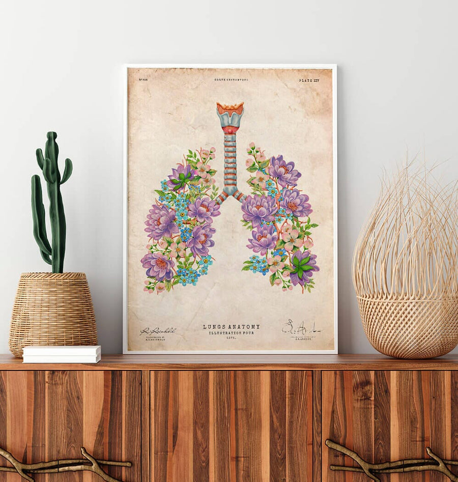 Anatomy of the lungs poster