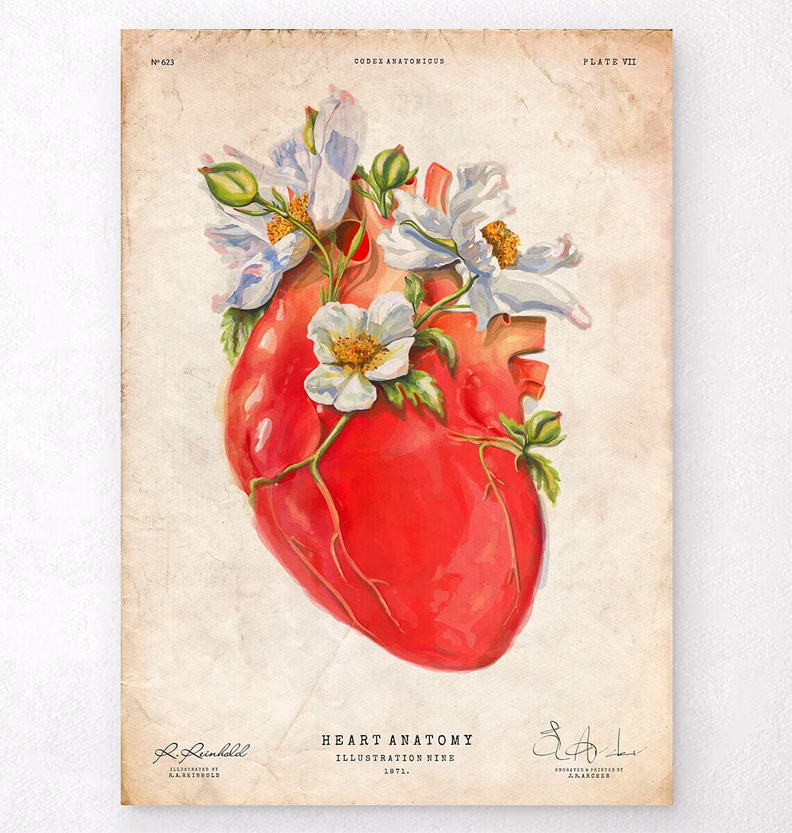 Floral heart anatomy art print – Codex Anatomicus
