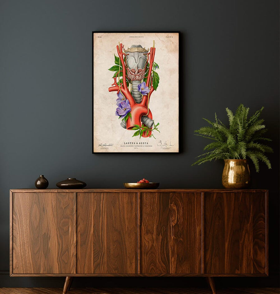 Larynx, Thyroid and Aorta anatomy poster by Codex Anatomicus