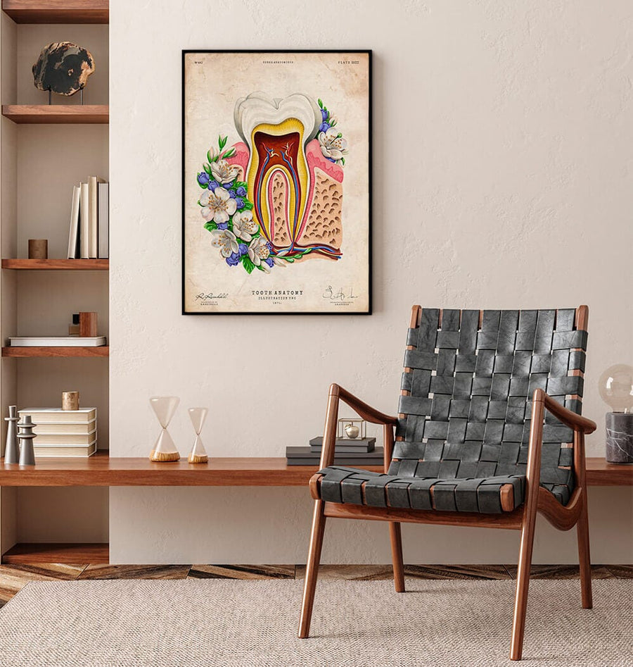 Vintage tooth anatomy poster by codex anatomicus