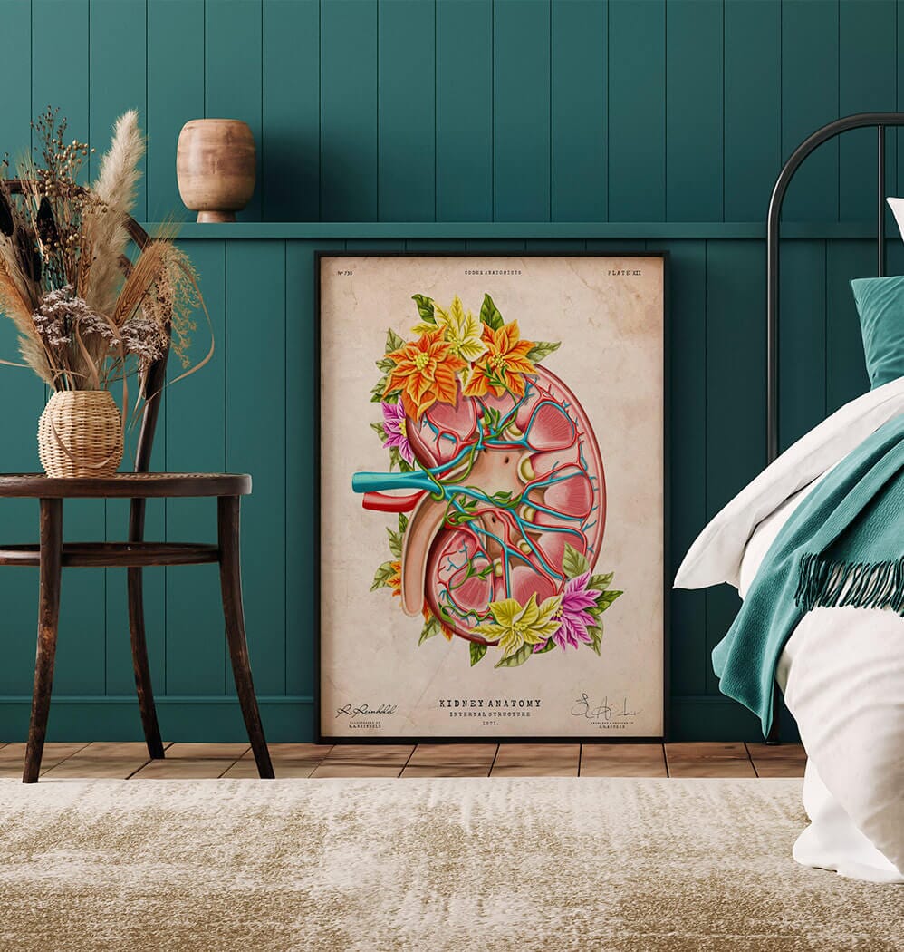 Floral kidney anatomy art print – Codex Anatomicus