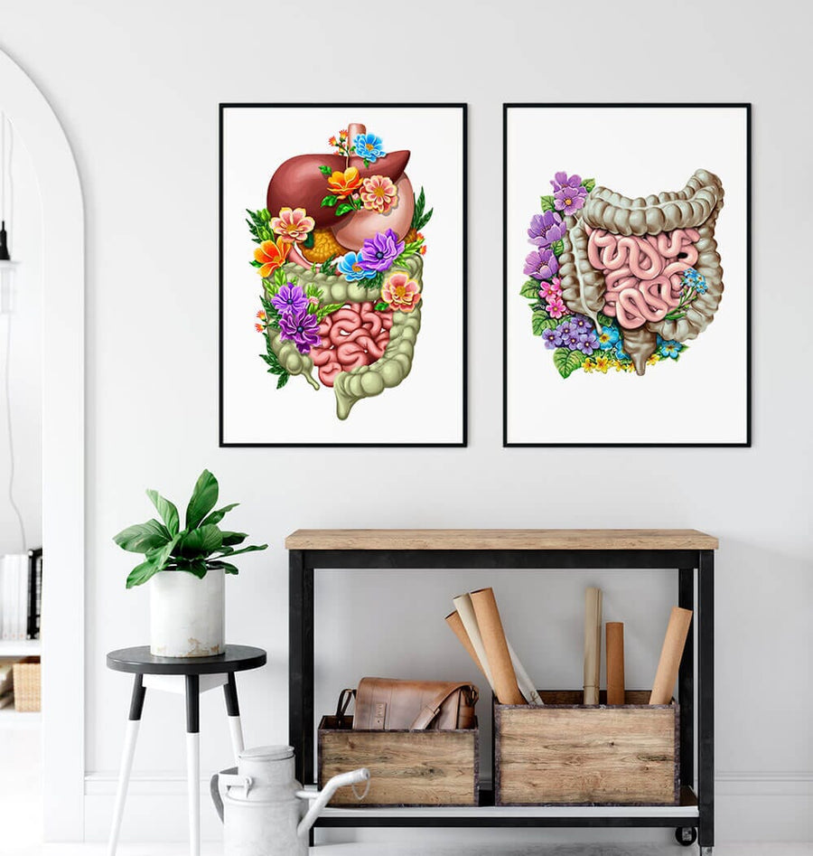 Digestive system anatomy art print by Codex Anatomicus