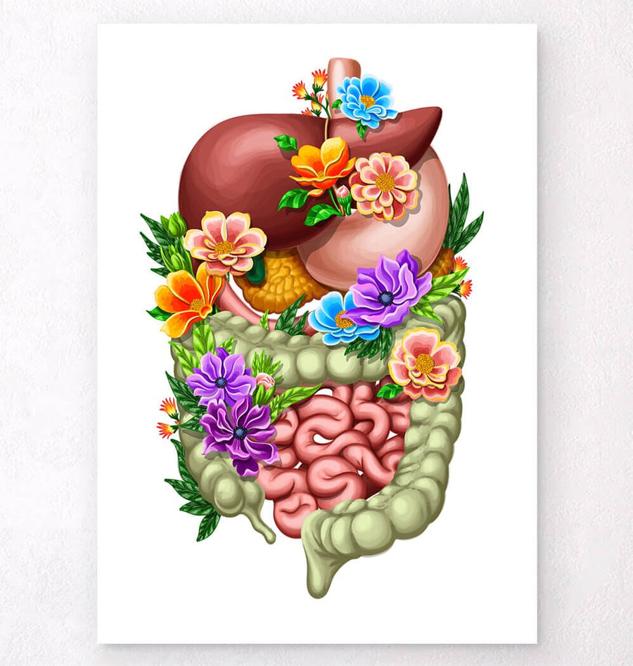 Digestive system anatomy poster