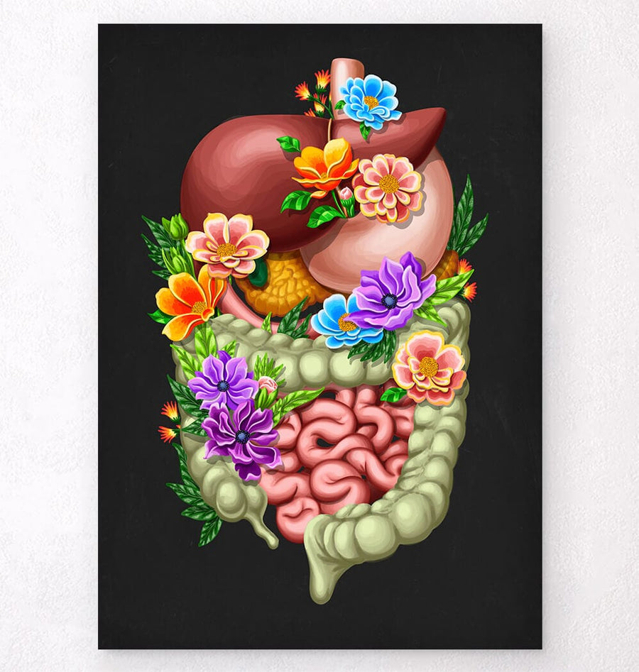 Digestive system anatomy art print by Codex Anatomicus