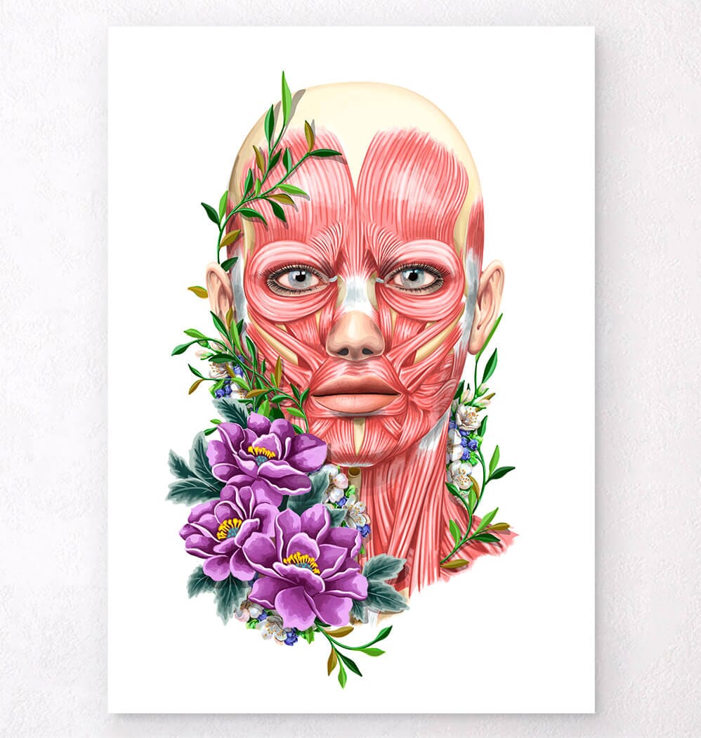 Facial muscles anatomy II - Floral - White – Codex Anatomicus