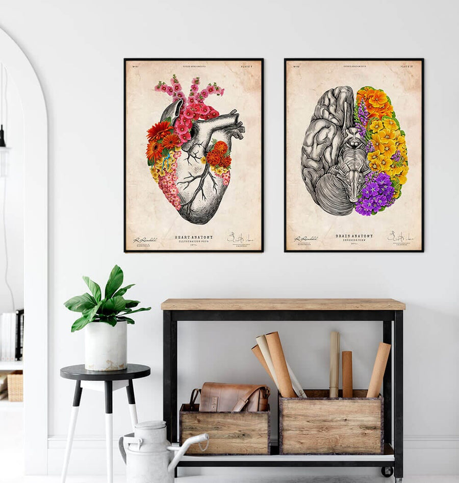 Heart and brain anatomy art print