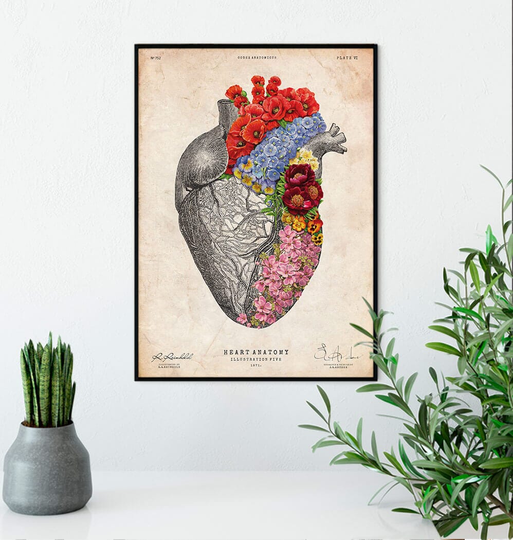 Floral heart anatomy art print – Codex Anatomicus