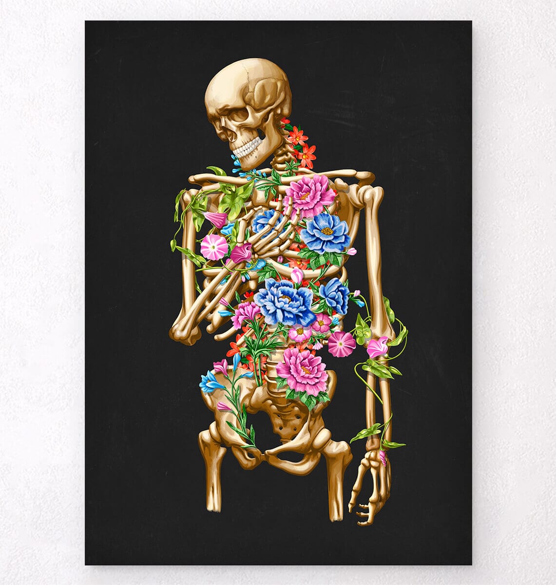 Squelette anatomique complet, Étudiants