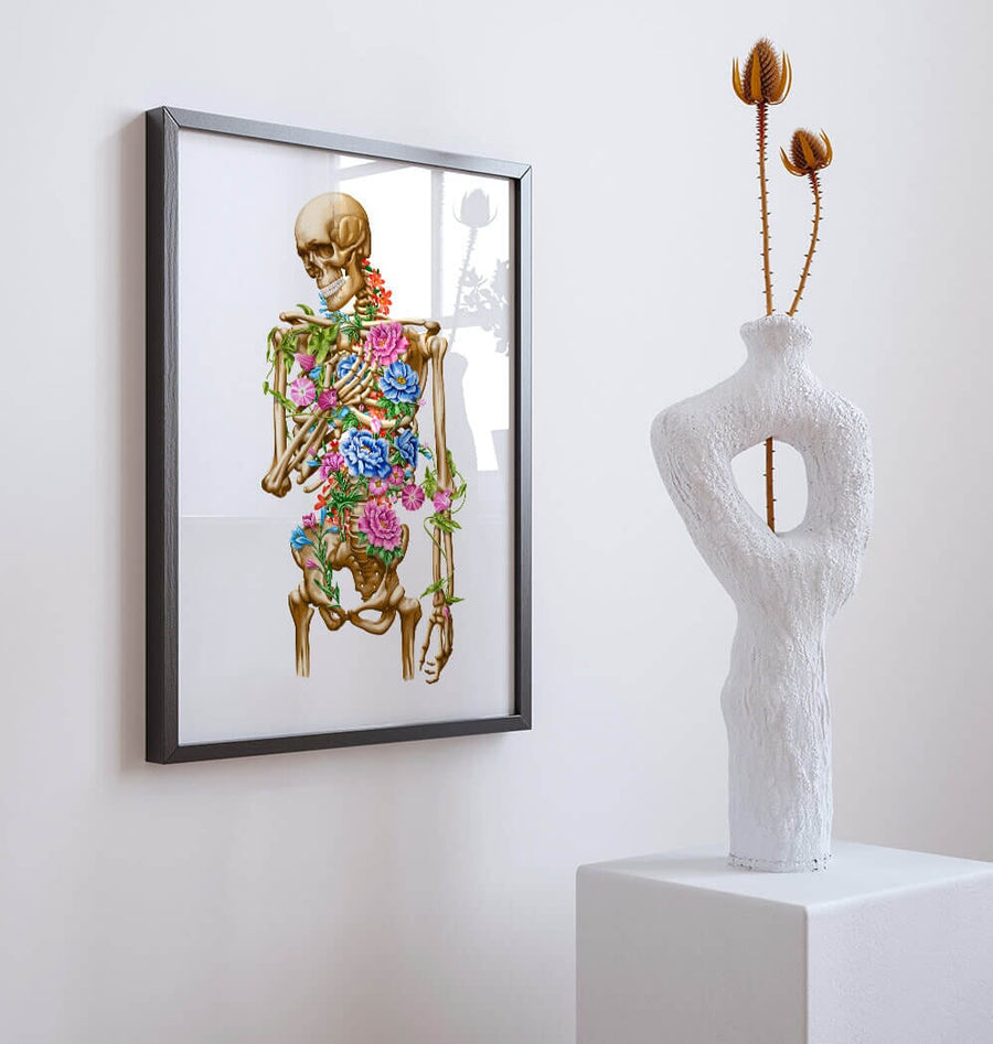 Skeleton anatomy poster